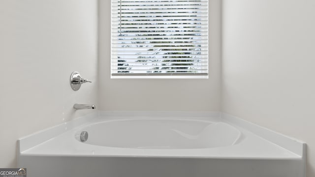 bathroom with a bathing tub