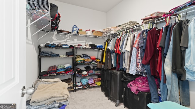 spacious closet with carpet flooring