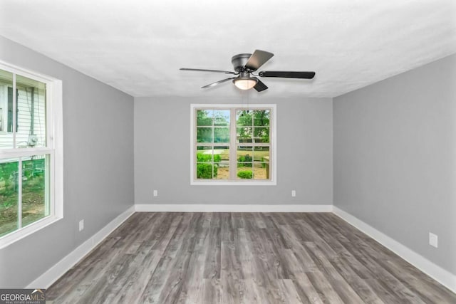 spare room with ceiling fan and wood-type flooring