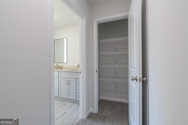 interior space featuring sink and light carpet