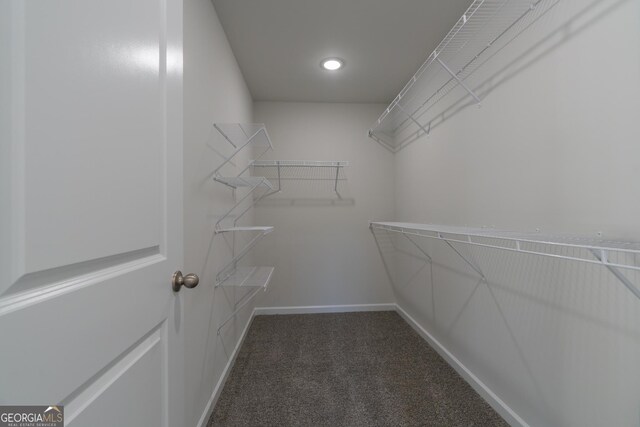 spacious closet with dark colored carpet