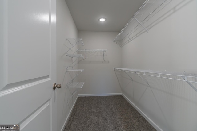 walk in closet with carpet