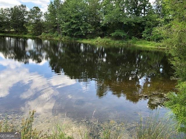 view of water feature