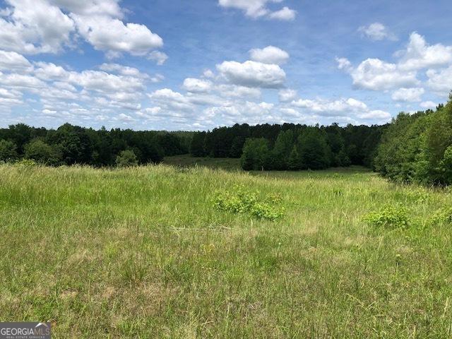 view of local wilderness with a rural view