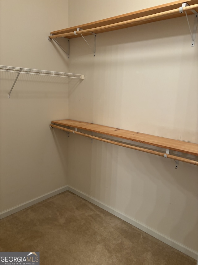 spacious closet featuring carpet flooring