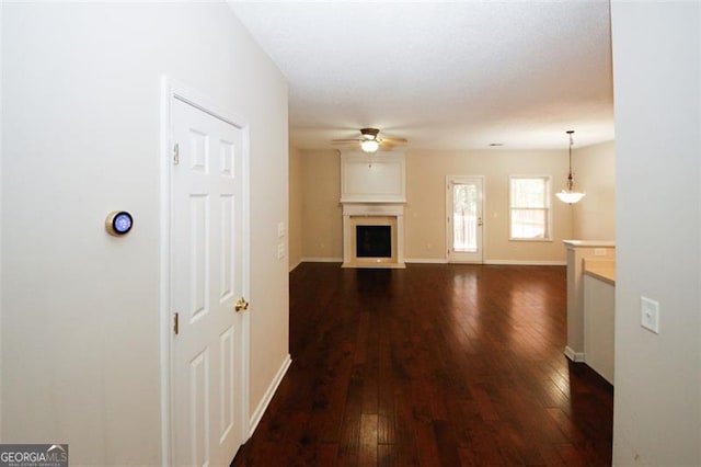 hallway featuring dark hardwood / wood-style floors