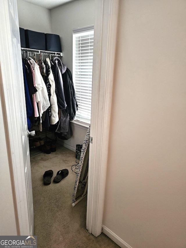 spacious closet featuring carpet flooring