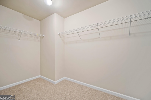 walk in closet with carpet floors