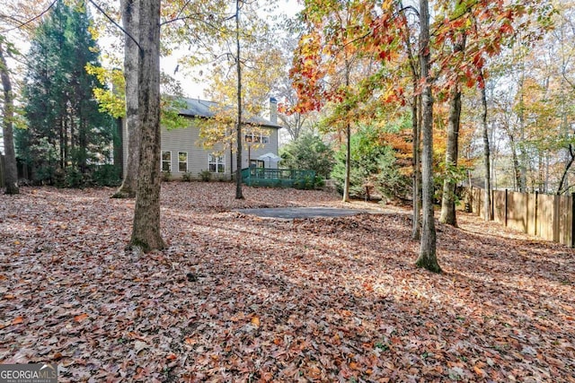 view of yard with a wooden deck