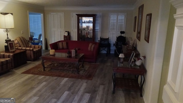 living room with ornamental molding and dark hardwood / wood-style floors