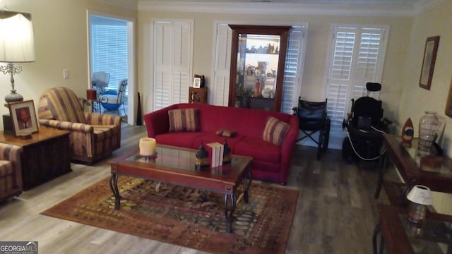 living room featuring crown molding and wood-type flooring