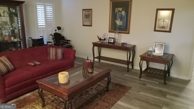 living room featuring hardwood / wood-style floors