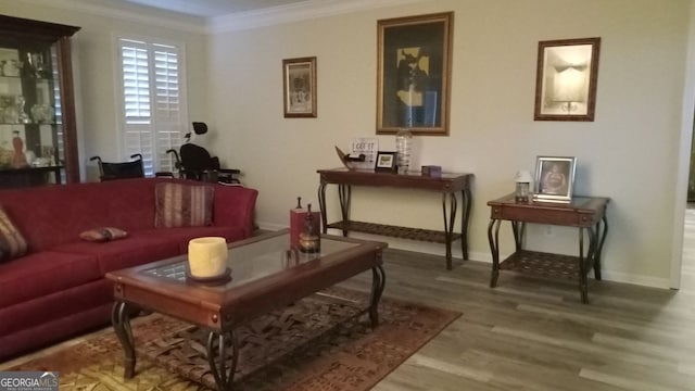 living room featuring crown molding and wood-type flooring