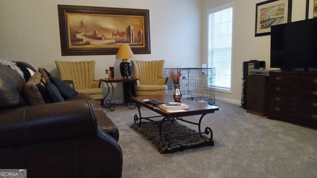 living room featuring light colored carpet