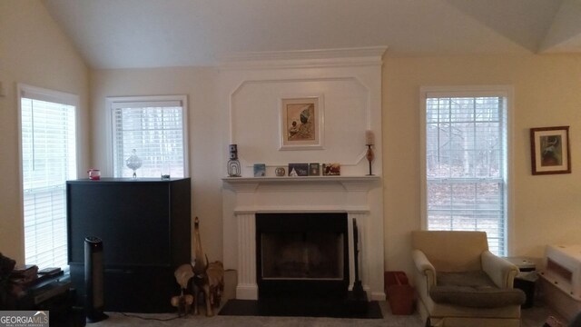 living room featuring vaulted ceiling