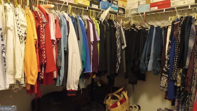 view of spacious closet