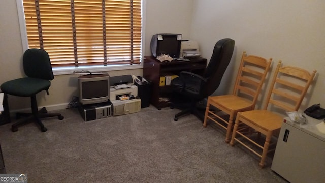 office area featuring carpet