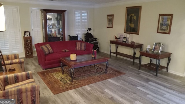 living room featuring crown molding and light hardwood / wood-style floors