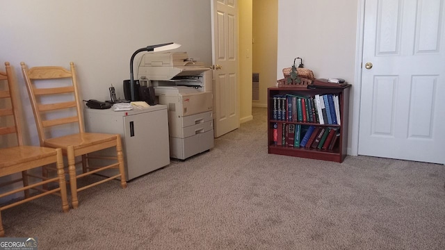 laundry area with light colored carpet