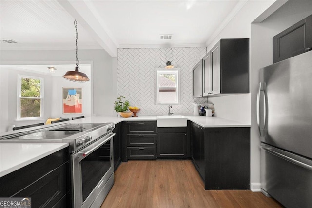 kitchen with plenty of natural light, light hardwood / wood-style floors, sink, and appliances with stainless steel finishes