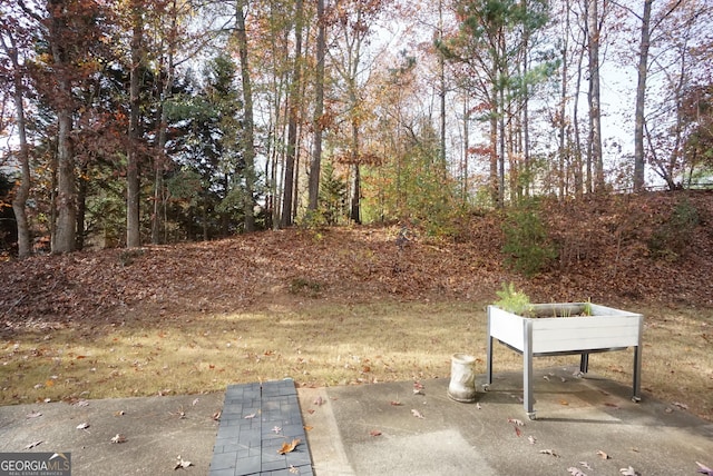 view of yard featuring a detached carport