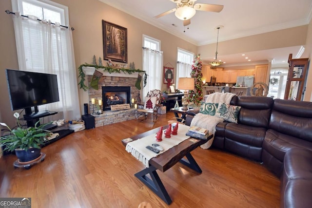 living room featuring a wealth of natural light, crown molding, and light hardwood / wood-style floors