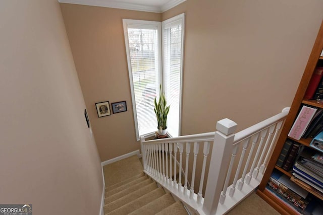 staircase with ornamental molding, a healthy amount of sunlight, and carpet flooring