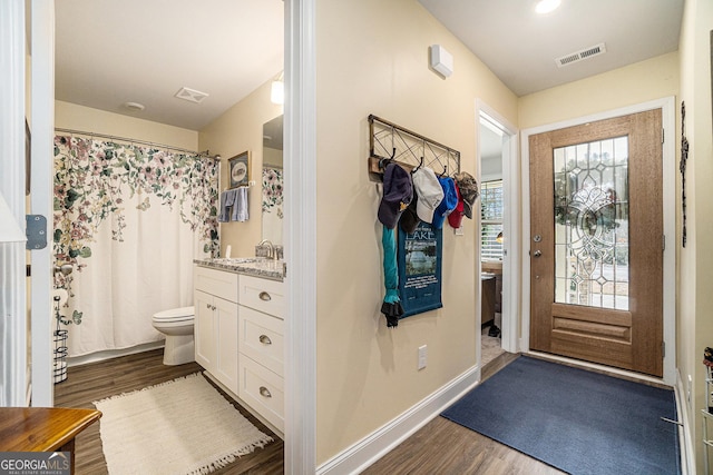 interior space featuring sink, a wealth of natural light, and dark hardwood / wood-style flooring