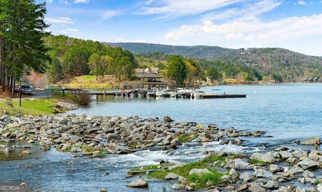 property view of water with a mountain view