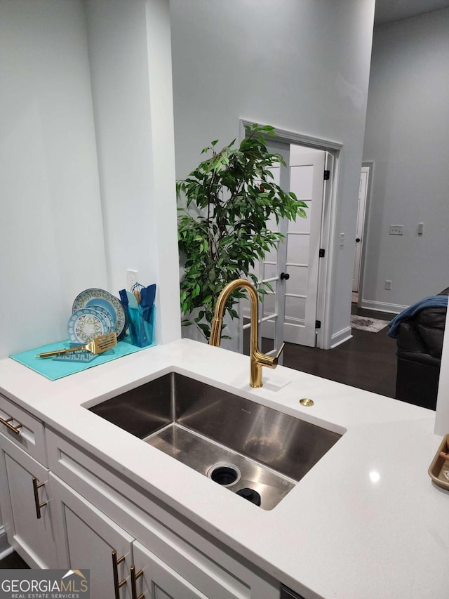 details featuring gray cabinetry, dark hardwood / wood-style floors, and sink