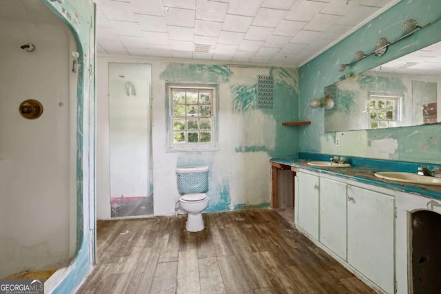 bathroom featuring hardwood / wood-style flooring, vanity, and toilet