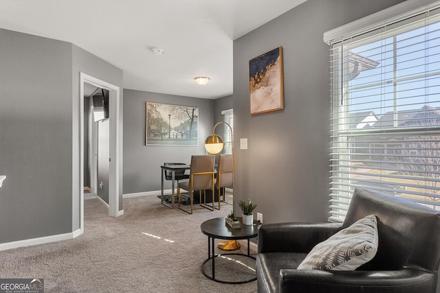 sitting room featuring carpet floors