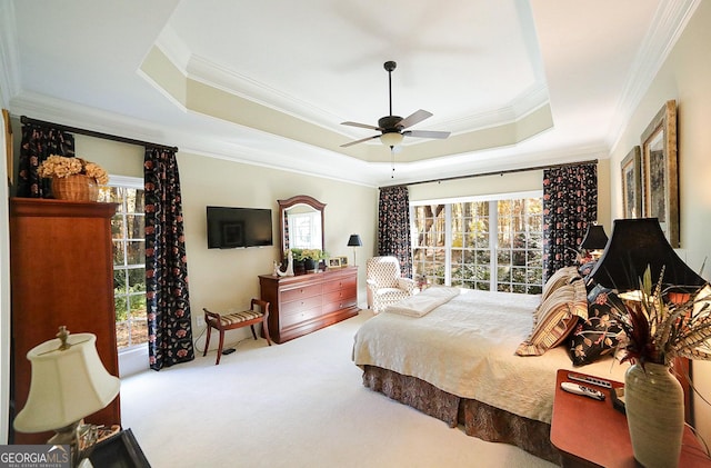 bedroom featuring carpet, a raised ceiling, ceiling fan, and crown molding