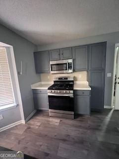 kitchen with gray cabinets, dark hardwood / wood-style flooring, and appliances with stainless steel finishes