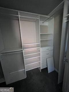 view of closet