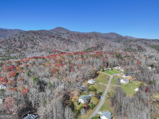 birds eye view of property featuring a mountain view