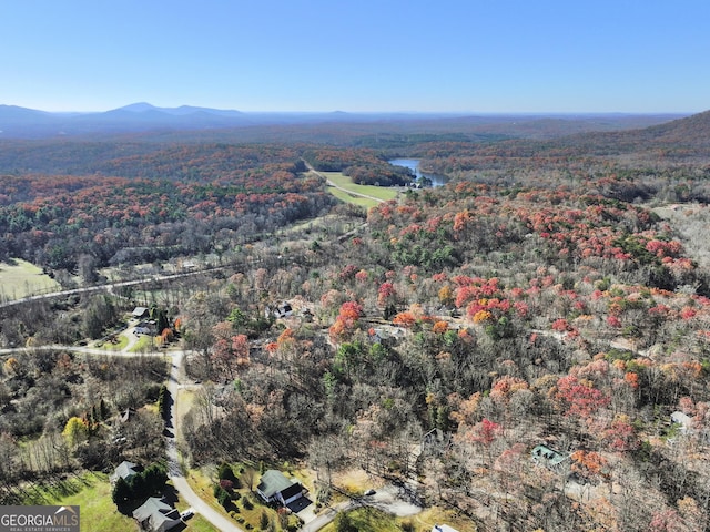 drone / aerial view featuring a mountain view