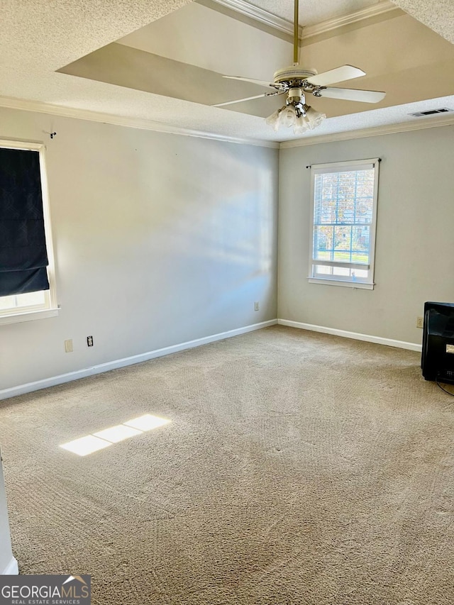 empty room with carpet, a raised ceiling, and ornamental molding