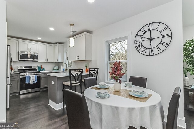 dining room featuring sink and dark wood-type flooring