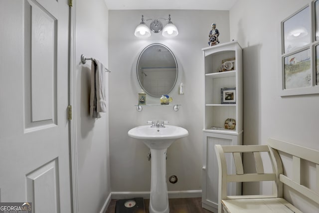 bathroom featuring hardwood / wood-style floors