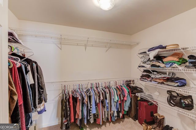 walk in closet featuring light carpet