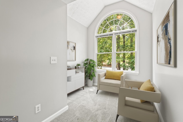 sitting room with light colored carpet, a textured ceiling, and vaulted ceiling