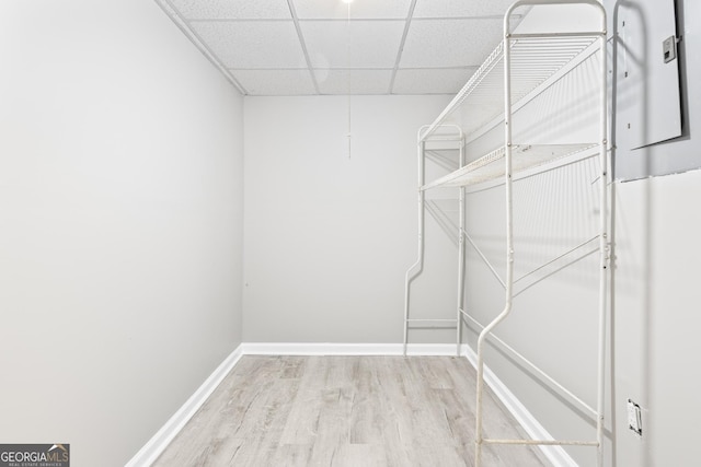 walk in closet featuring hardwood / wood-style flooring and a paneled ceiling