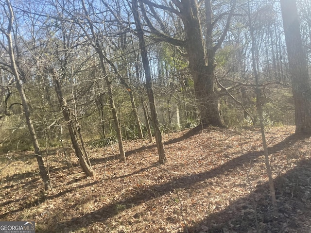 view of local wilderness with a forest view