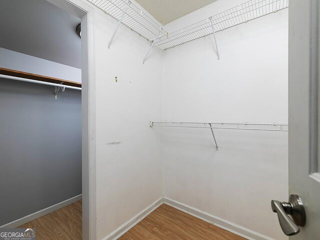 walk in closet featuring wood-type flooring