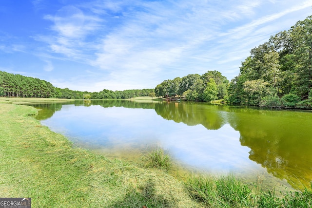 water view with a forest view