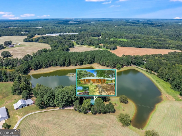 birds eye view of property featuring a wooded view and a water view