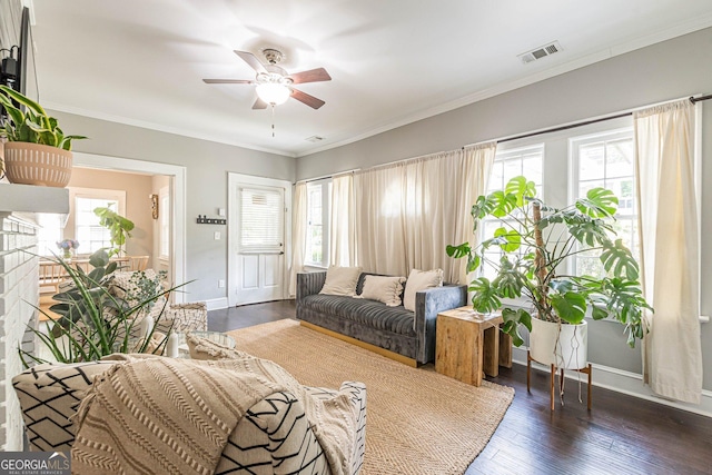 living room with dark hardwood / wood-style floors, crown molding, and a healthy amount of sunlight