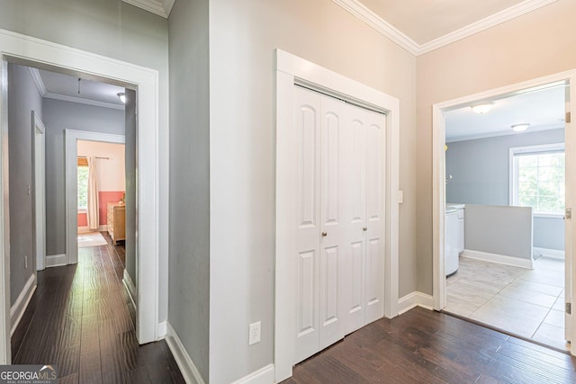 hallway featuring a healthy amount of sunlight, dark wood-type flooring, and ornamental molding