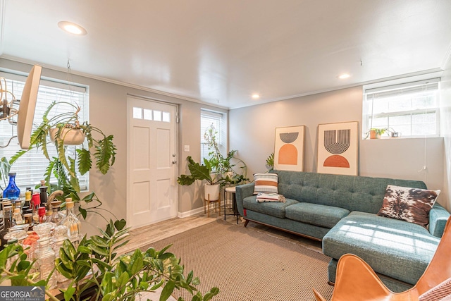 living room with light hardwood / wood-style floors, a wealth of natural light, and ornamental molding